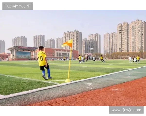 绿茵逐梦激情碰撞世界强队展现足球无尽魅力