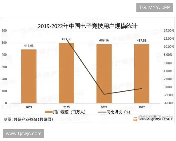 电子竞技驱动青年文化与数字体育深度融合及未来发展趋势探析研究 电子竞技驱动青年文化与数字体育深度融合及未来发展趋势探析研究